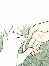 Cat和他的Master