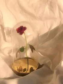 落日放映厅