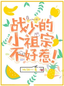 战少的小祖宗不好惹！