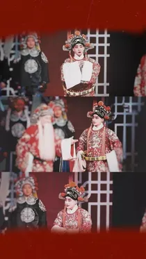 牡丹国色