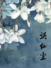 误红尘
