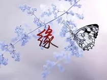 时代易安:缘