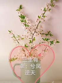 三生有幸：兮凤逆天