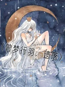 曾梦行羽：遗落
