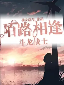 斗龙战士之陌路相逢