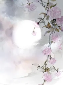花妹妹的一生