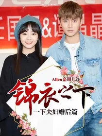 锦衣之下——一下夫妇婚后篇