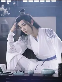 魏辞林彼岸花系列陈情令小说：愿临