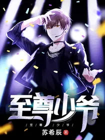 至尊少爷