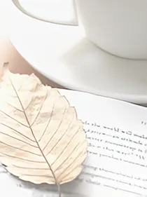 心之所向·素履而往