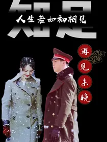 人生若如初相见——再见未晚