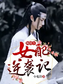 陈情令：女配逆袭记