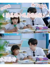 陆总的小娇妻婚后版