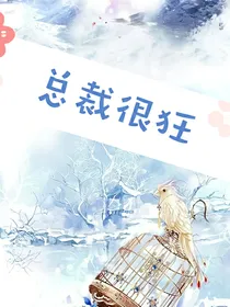 总裁很狂