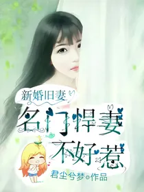 新婚旧妻：名门悍妻不好惹