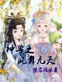 神兽金刚之凤舞九天