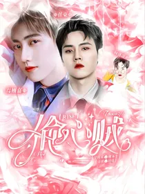 R1SE：偷心盗贼