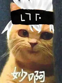 同人绘本（自绘）