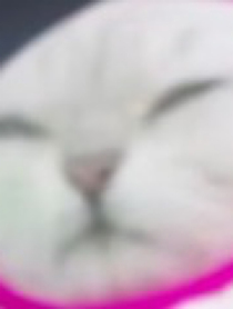 若有所失