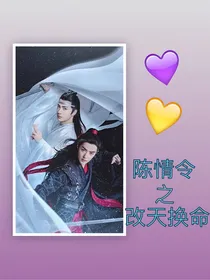 陈情令之改天换命-d496