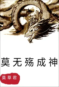 莫无殇成神