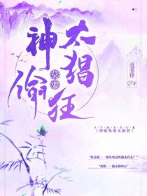 神偷莫要太猖狂-d008