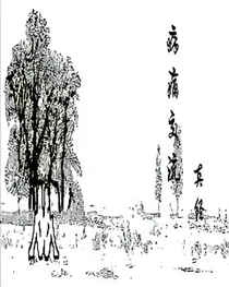 病痛交流