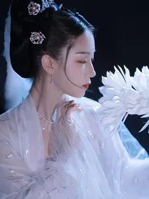 陈情令：观之若骛