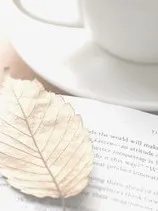 爷的快乐你不懂