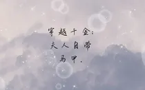 穿越千金：夫人自带马甲