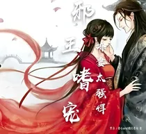 邪王嗜宠:娇妻太强悍