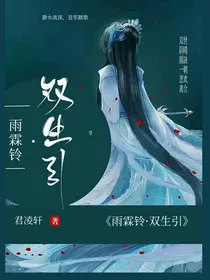 雨霖铃.双生引
