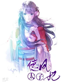 德凤太子妃-d018