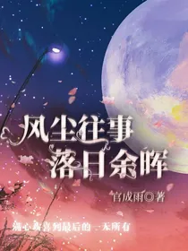 风尘往事，落日余晖-d062