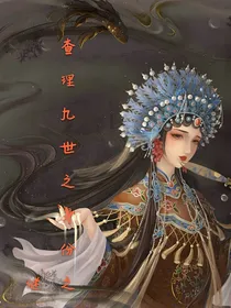 查理九世之身份谜团