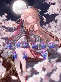 塔牌师的冒险