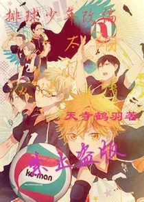 [排球少年改编]小太阳的伙伴小清