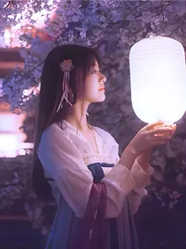 彼时暮雨落雪城