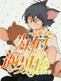 猫和老鼠：为何遇见你-d595