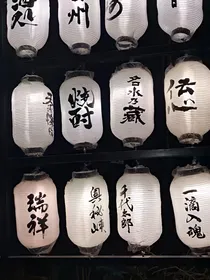 大佬说我上辈子就和他锁了