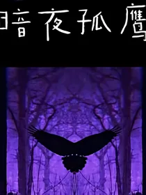 暗夜孤鹰