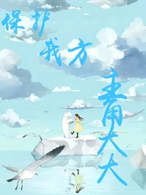 保护我方主角大人