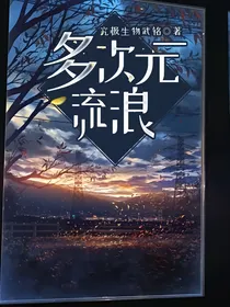 多次元流，浪