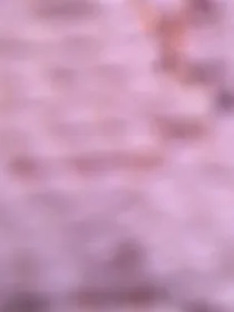 我的少年时代第二季