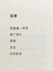 夏天遇星辰