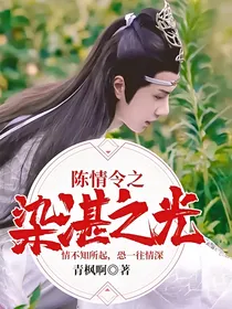 陈情令之染湛之光