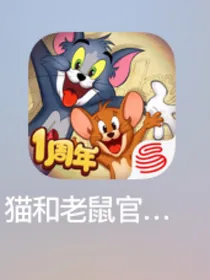 猫鼠攻略