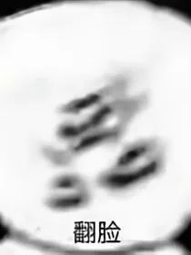 辞某吐槽铺