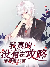 我真的没有在攻略