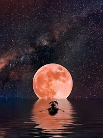 僵尸世界之签到系统
